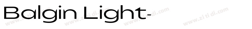 Balgin Light字体转换